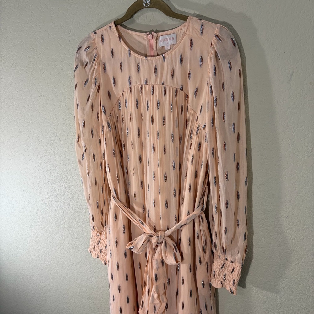 CIEBON Eryn Blush Metallic Print Tie Waist Long Sleeve Maxi Dress Sz S Cottage - Picture 4 of 12